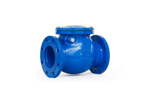 swing check valve