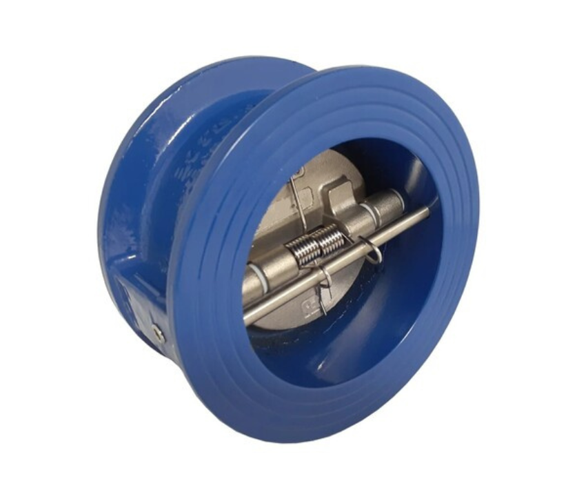 Dual Plate Check Valve