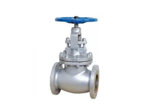 Globe Valve Bolted Bonnet