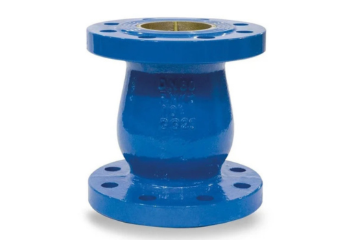 Check Valve Axial Type